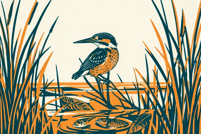 Teal Catch