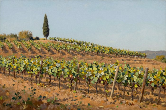 Vine Slope