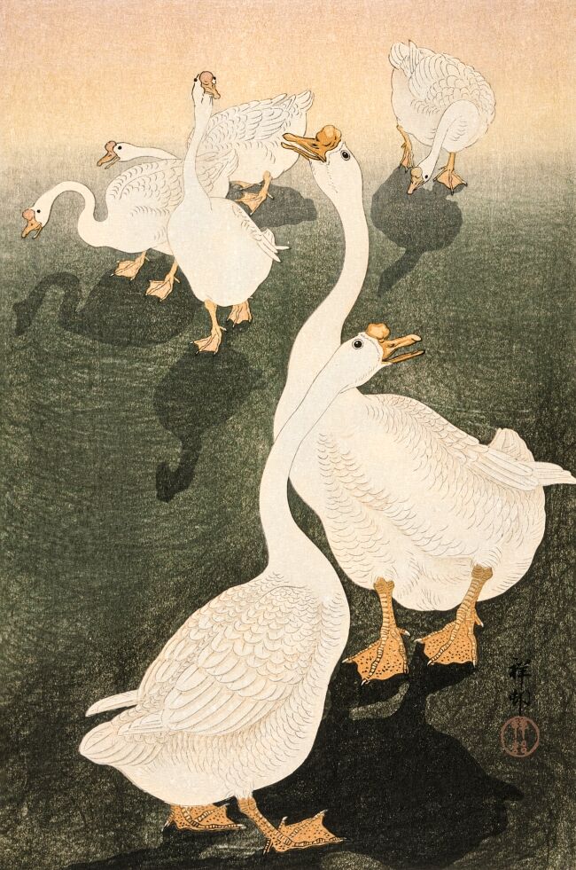 Geese 1926 by Ohara Koson