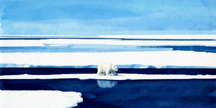 Frozen Shore