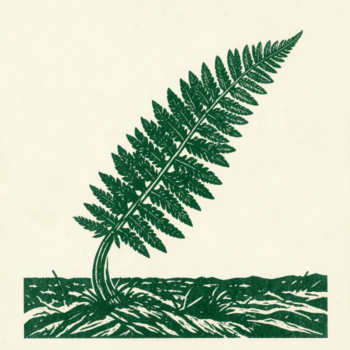 Unfurling Green