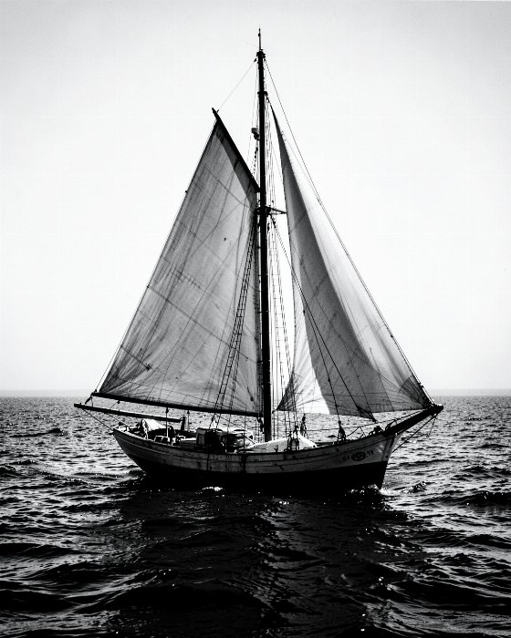 Lone Voyage