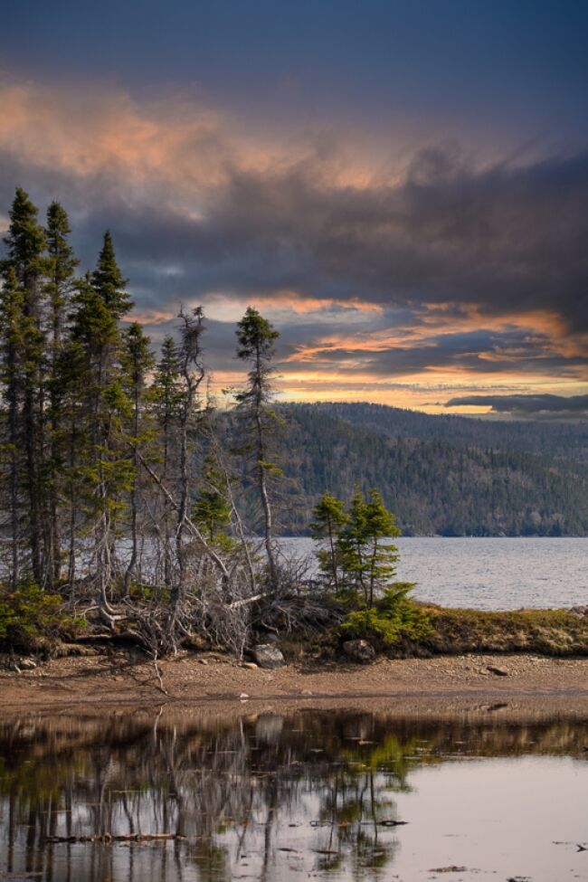 Newfoundland Parks