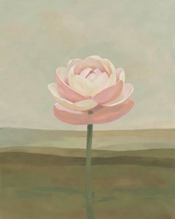 Blush Horizon