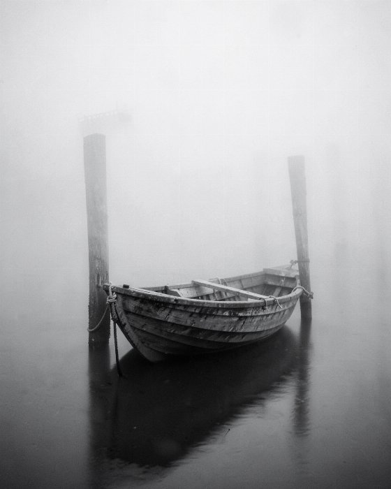 Fog Bound