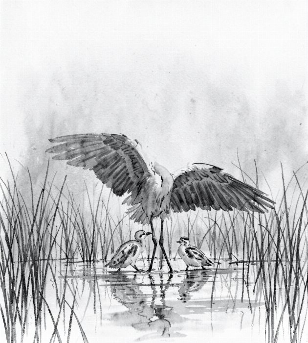 Heron Mother II