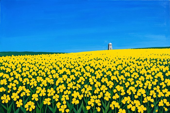 Canola Horizon