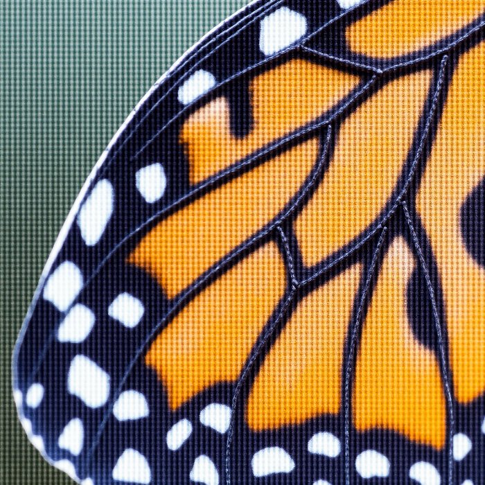 Wing Detail II