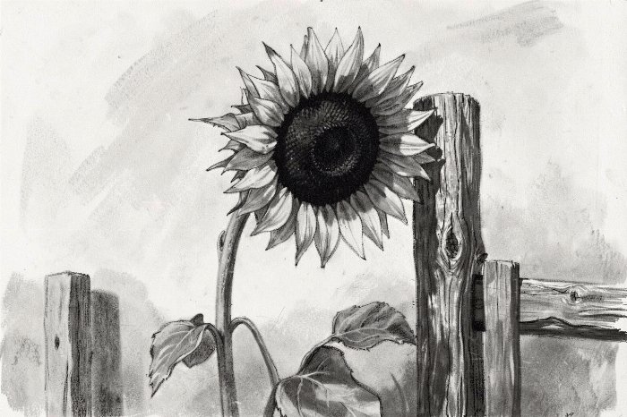 Solitary Bloom