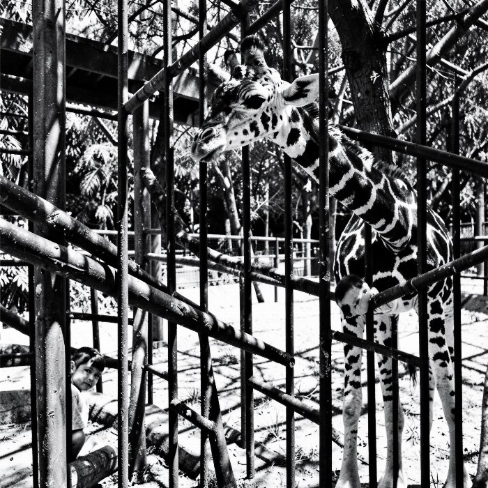 Behind Bars