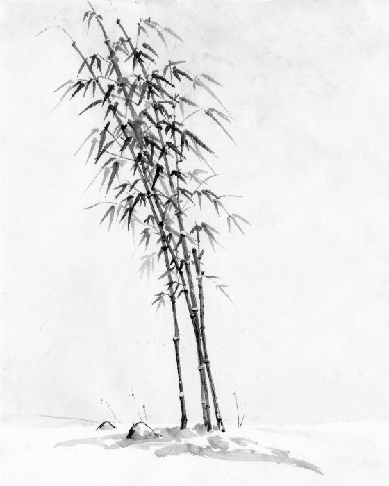 Snow Bend II