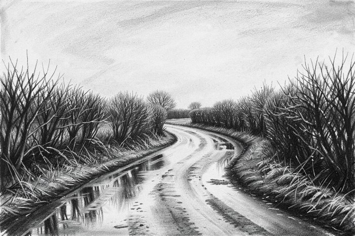 Winter Lane