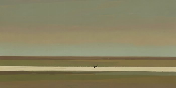 Distant Cat