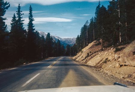 Enchanted Drive Ahead