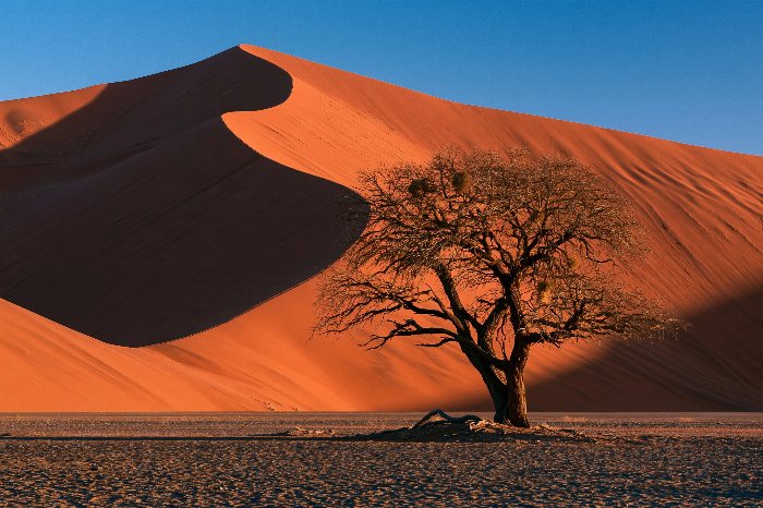 Desert Dunes