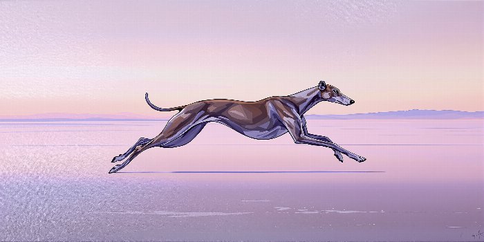 Salt Stride