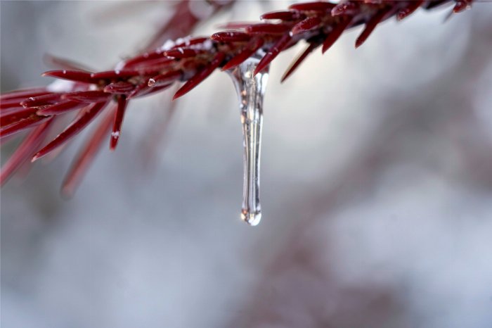 Frozen Prism