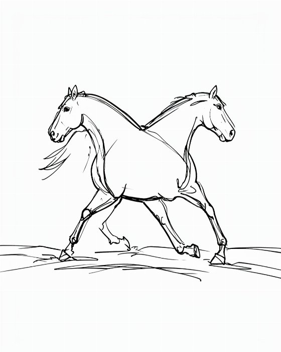 Gallop II