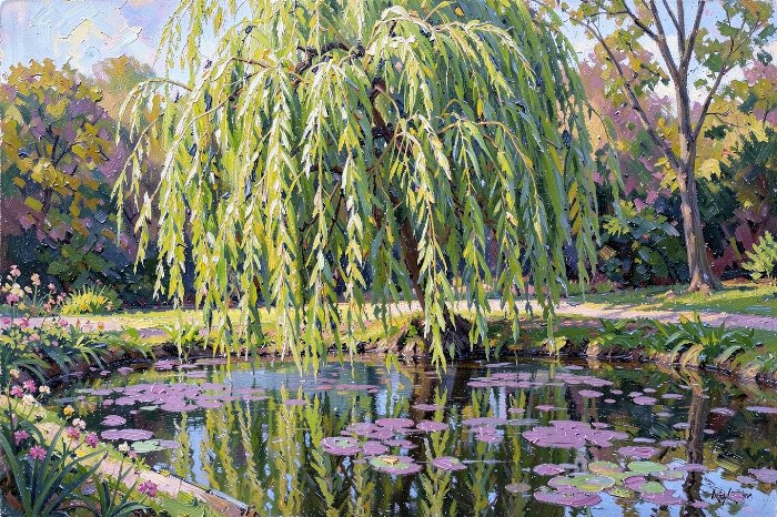 Willow Light