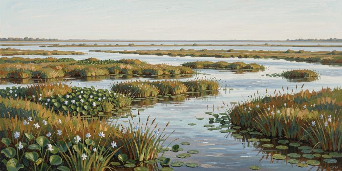 Delta Reeds