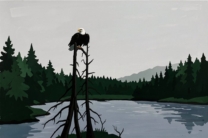 River Watch