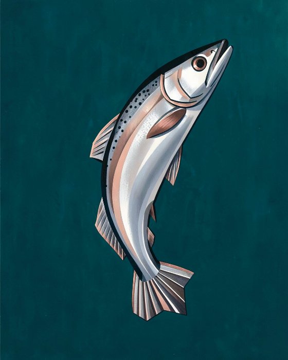 Salmon Ascending