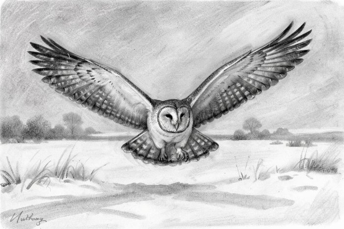 Winter Flight