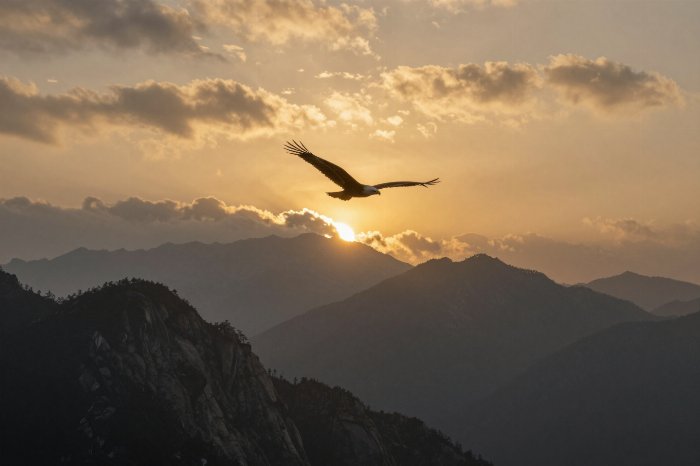 Eagle's Dawn