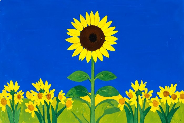 Sunny Bloom