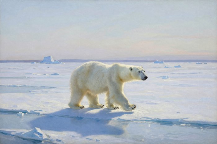 Ice Walker