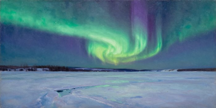 Violet Arctic
