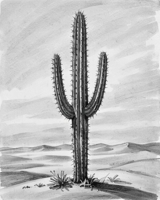 Graphite Giant