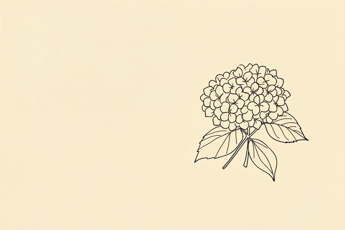 Hydrangea Line