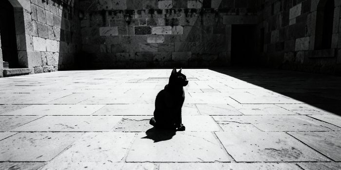 Shadow Stretch