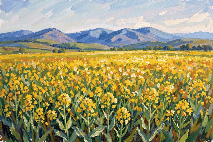 Canola Light