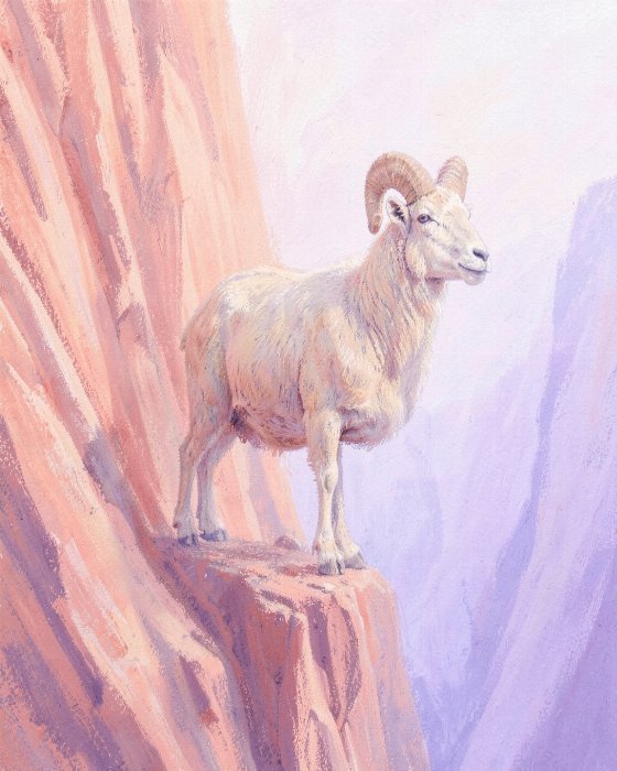 Canyon Ram II