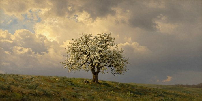 Blossom Ridge