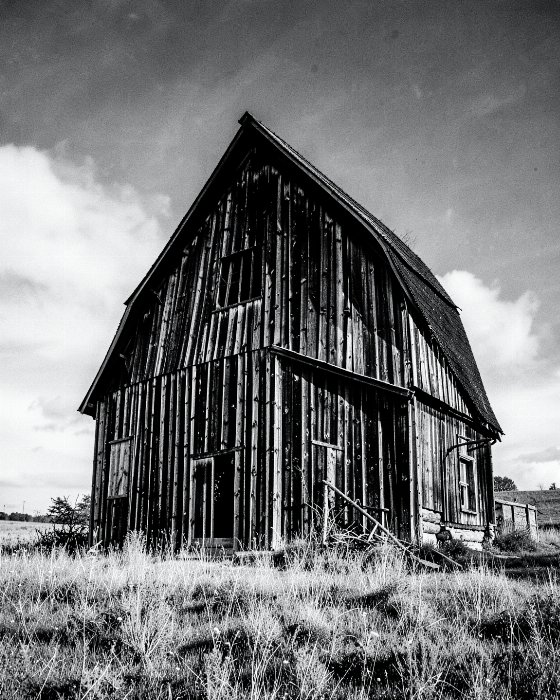 Homestead Shadow