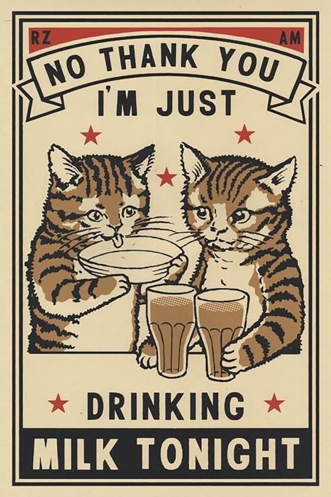 cats drinking milk