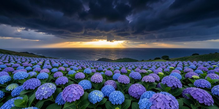 Indigo Shore