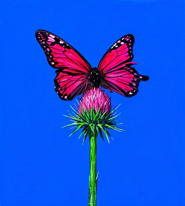 Thistle Rest II