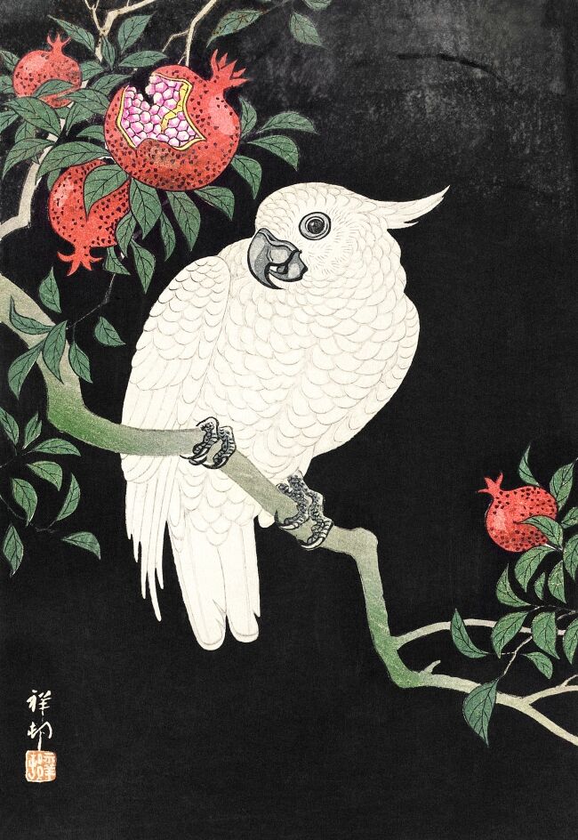 Cockatoo and Pomegranate by Ohara Koson