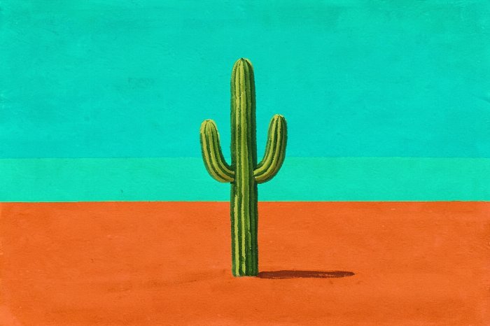 Desert Stand II