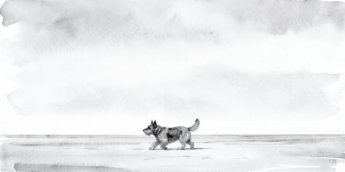 Shore Walk