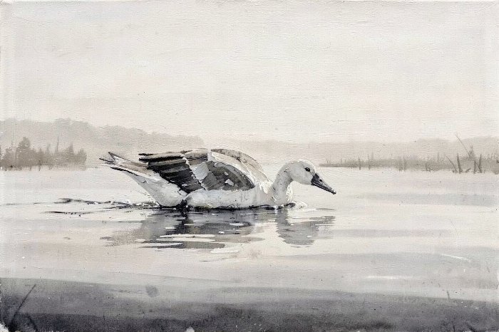 Gliding Low