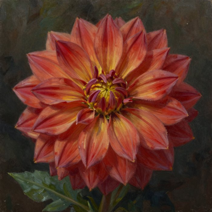 Dahlia Study