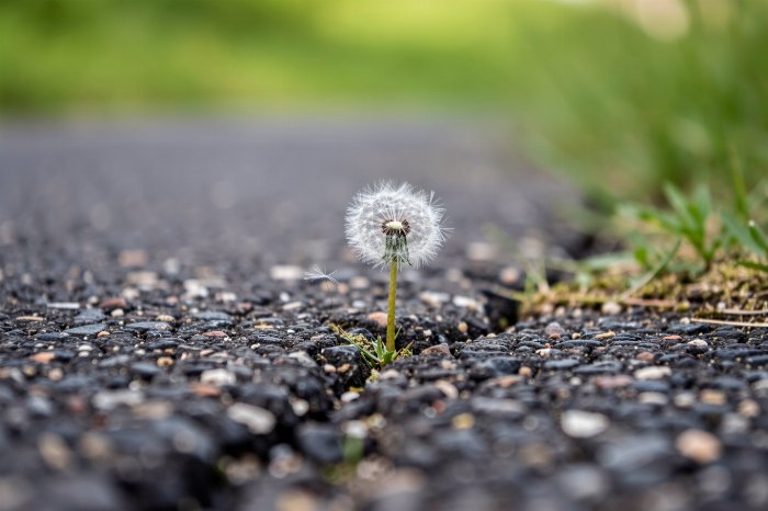 Breakthrough