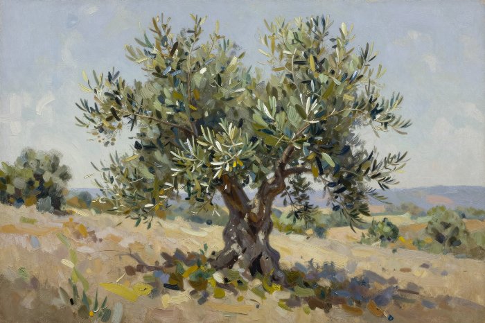 Hill Tree