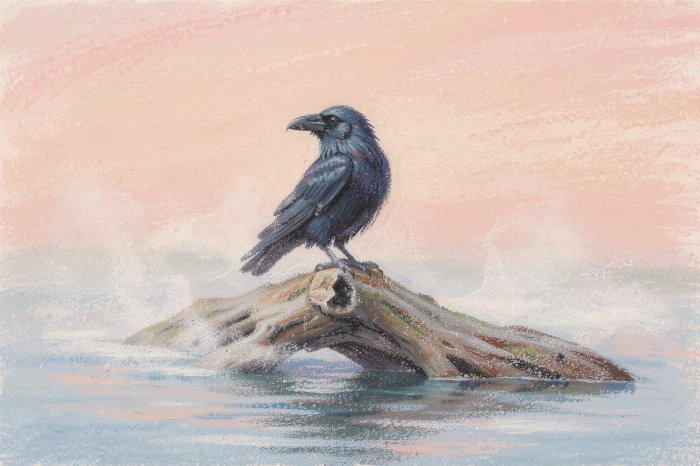 Raven Mist