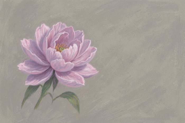 Pastel Bloom